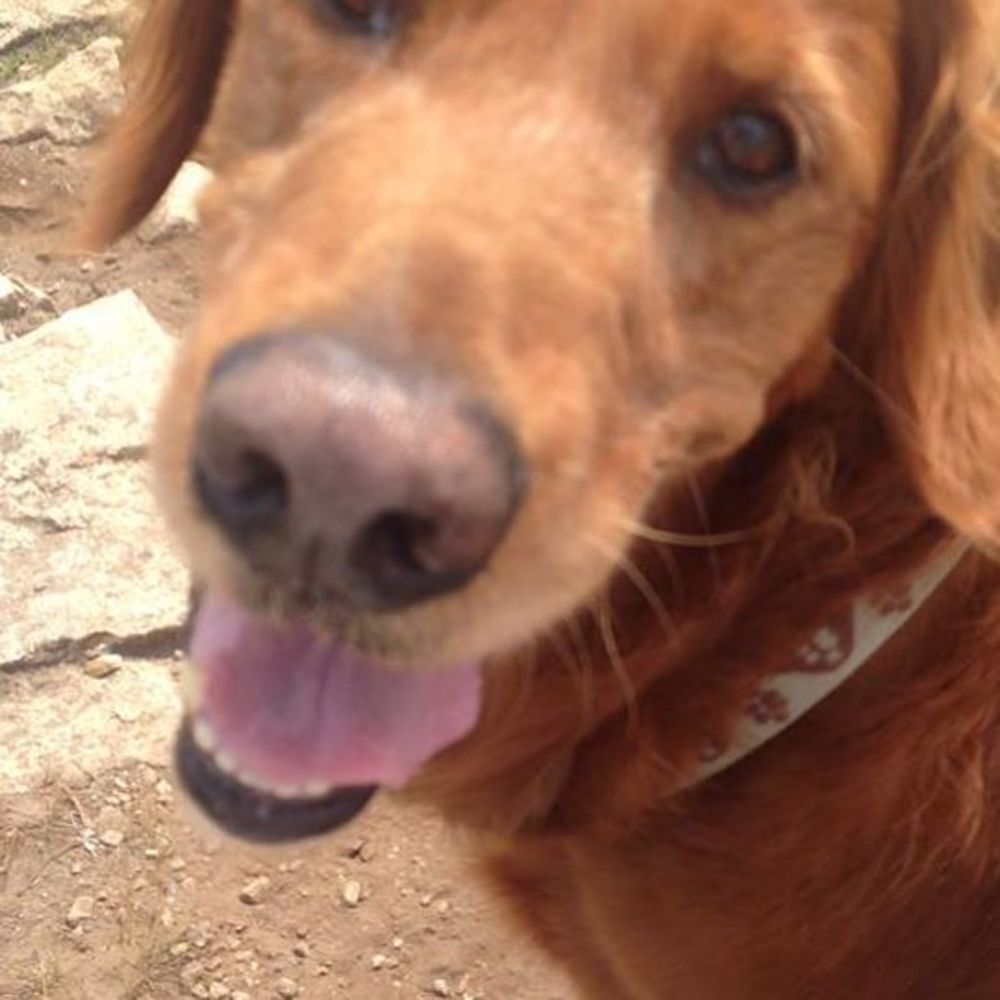 Meet your Posher, Pamela